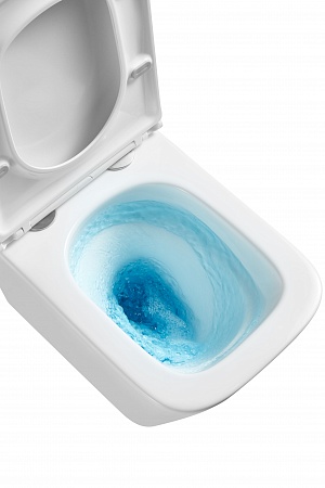 Подвесной унитаз безободковый Terminus Ватикан Monolit 490х340 белый Юрга - фото 8