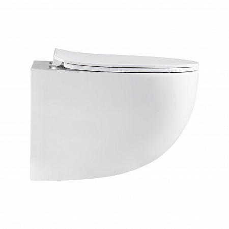 Подвесной унитаз безободковый Terminus Енисей Monolit 560х390 белый Юрга - фото 4