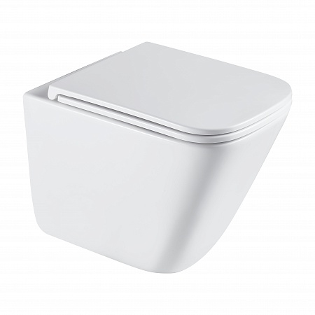 Подвесной унитаз безободковый Terminus Ватикан Monolit 490х340 белый Юрга - фото 2