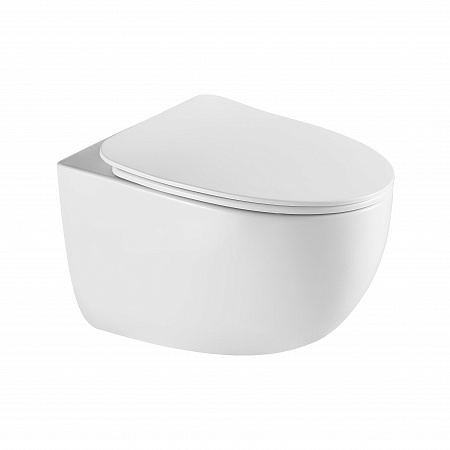 Подвесной унитаз безободковый Terminus Енисей Monolit 560х390 белый Юрга - фото 2