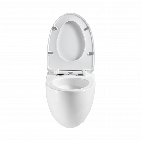 Подвесной унитаз безободковый Terminus Енисей Monolit 560х390 белый Юрга - фото 5