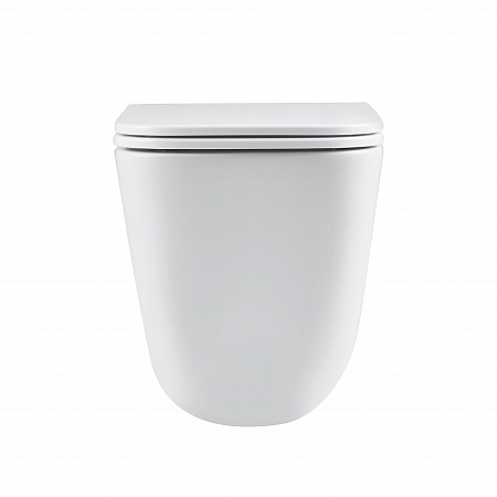 Подвесной унитаз безободковый Terminus Ватикан Monolit 490х340 белый Юрга - фото 6