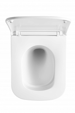 Подвесной унитаз безободковый Terminus Ватикан Monolit 490х340 белый Юрга - фото 3